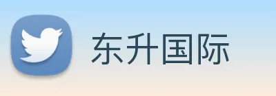东升国际 logo